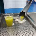 Imagen de WhatsApp 2025-02-13 a las 08.57.04_db59eb8c